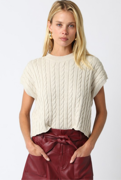 The Autumn Blend Sweater Vest