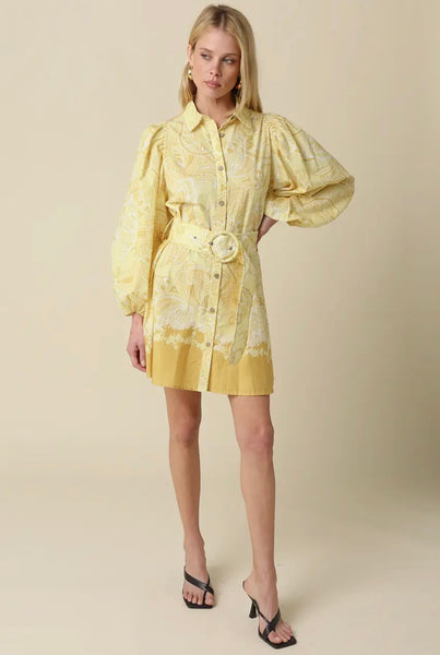 Joy Shirt Dress