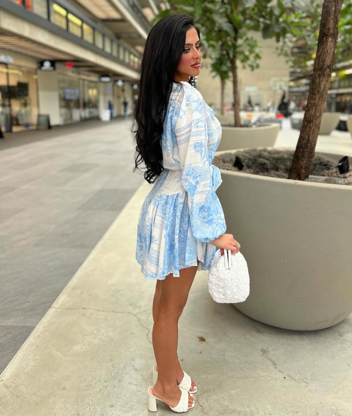 Italian Toile Print Dress