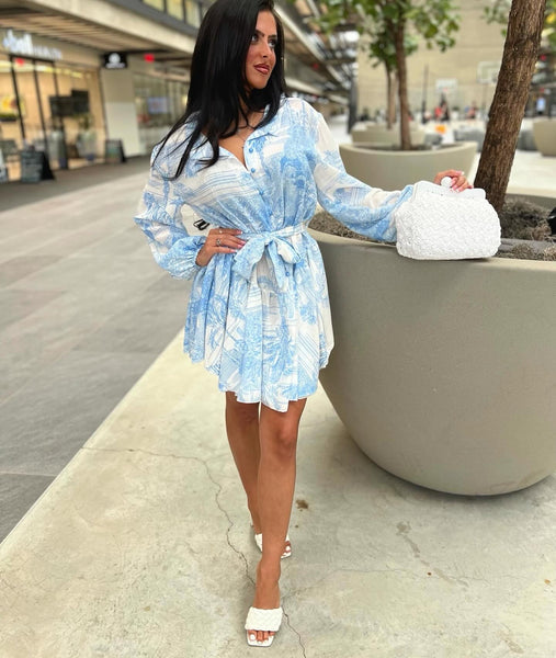 Italian Toile Print Dress