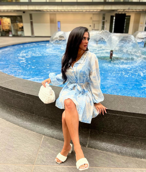 Italian Toile Print Dress